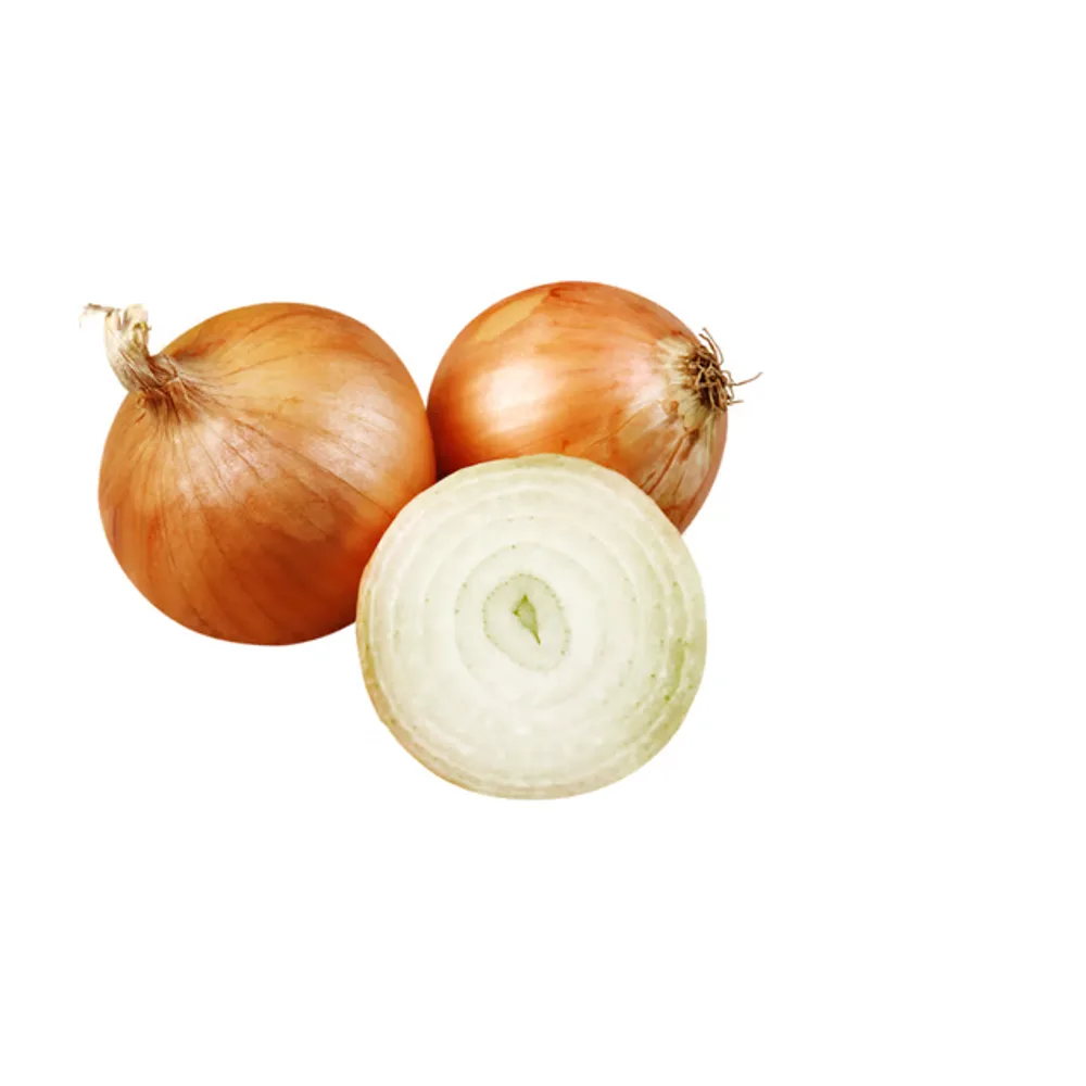Kuru Soğan